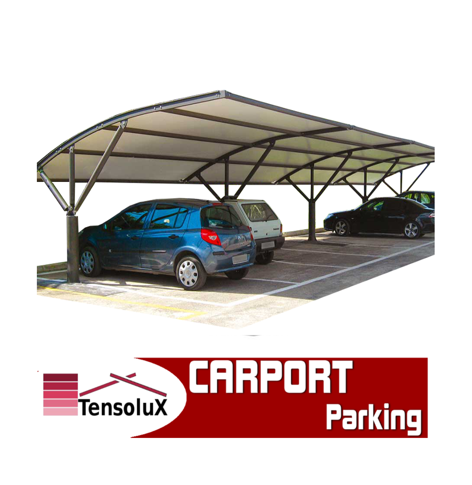 Carport Copertura Parcheggio Pesante professionale